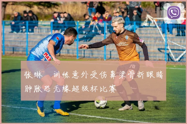 张琳芃训练意外受伤鼻梁骨折眼睛肿胀恐无缘超级杯比赛